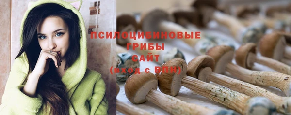 метадон Алзамай